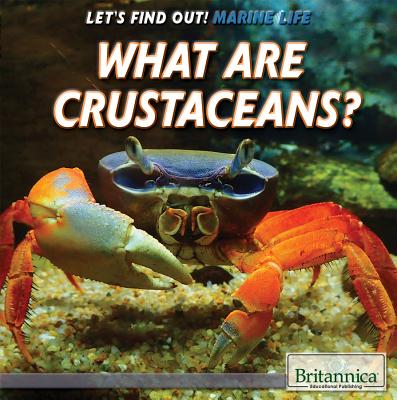 What Are Crustaceans? - Shea, Therese M