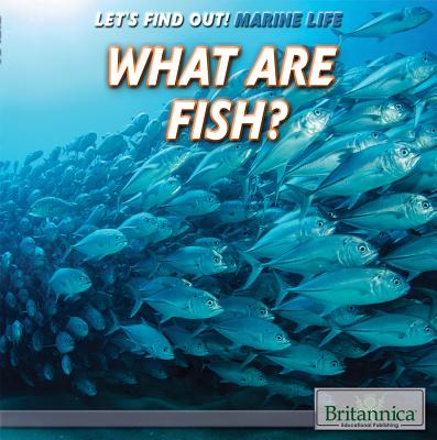 What Are Fish? - Martin, Bobi