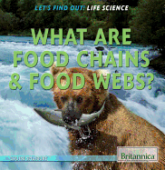 What Are Food Chains & Food Webs?