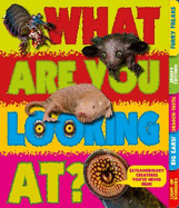 What Are You Looking At?: Extraordinary creatures you've never seen!