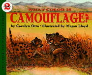 What Color Is Camouflage?