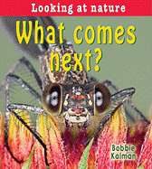 What Comes Next? - Kalman, Bobbie