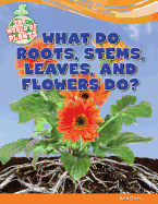 What Do Roots, Stems, Leaves, and Flowers Do?