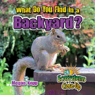 What Do You Find in a Backyard?
