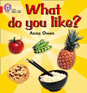 What Do You Like?: Band 02b/Red B
