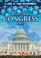 What Does Congress Do?