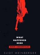 What Happened Here: Bush Chronicles: Current Affairs
