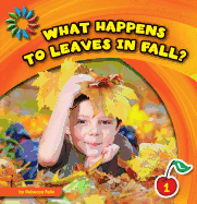 What Happens to Leaves in Fall?