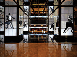 What If...?: The Architecture and Design of David Rockwell