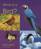 What Is a Bird?
