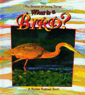 What Is a Bird?