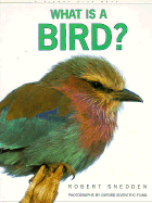 What is a Bird?