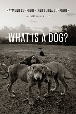 What Is a Dog? - Coppinger, Raymond, and Coppinger, Lorna, and Beck, Alan (Foreword by)