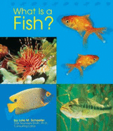 What Is a Fish?
