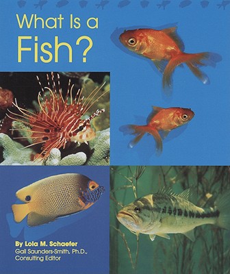 What Is a Fish? - Schaefer, Lola M