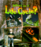 What Is a Life Cycle?