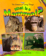 What is a Mammal?
