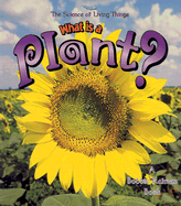 What Is a Plant?
