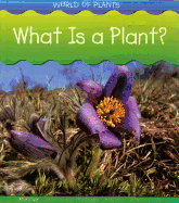 What Is a Plant?