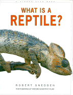 What Is a Reptile?