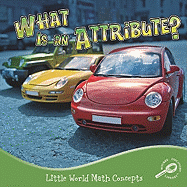 What Is an Attribute?