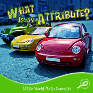 What Is an Attribute?
