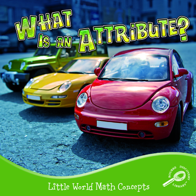 What Is an Attribute? - Allen, Nancy