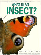 What is an Insect?