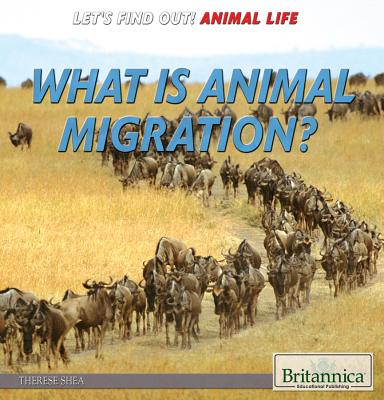 What Is Animal Migration? - Shea, Therese M