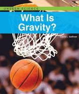 What Is Gravity?