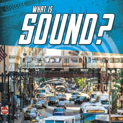 What Is Sound? - Rake, Jody S.