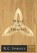 What Is the Trinity?: Volume 10