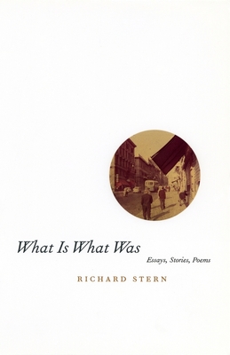 What Is What Was - Stern, Richard