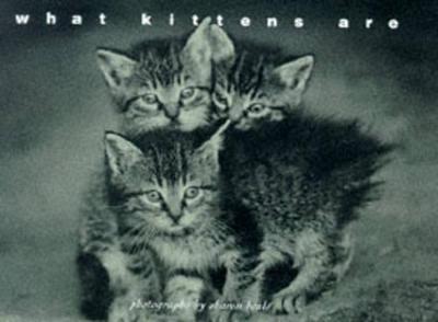 What Kittens Are - Beals, Sharon (Photographer)