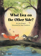 What Lies on the Other Side?