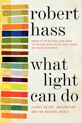 What Light Can Do PB - Hass, Robert