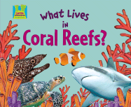 What Lives in Coral Reefs?