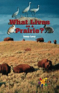 What Lives on a Prairie?