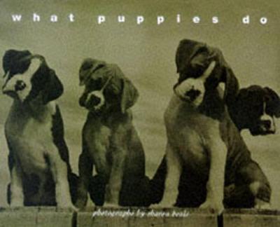 What Puppies Do - Beals, Sharon (Photographer)