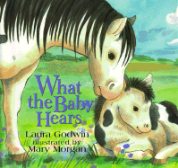 What the Baby Hears