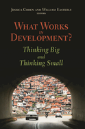 What Works in Development?: Thinking Big and Thinking Small