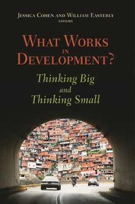 What Works in Development?: Thinking Big and Thinking Small - Cohen, Jessica (Editor), and Easterly, William (Editor)