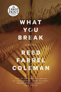 What You Break