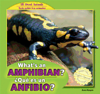 What's an Amphibian? / ?Qu? Es Un Anfibio?