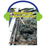 What's Going on in the Compost Pile?: A Book about Systems