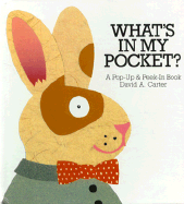 What's in My Pocket?