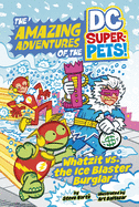 Whatzit vs the Ice Blaster Burglar