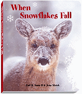 When Snowflakes Fall