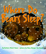 Where Do Bears Sleep?