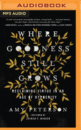 Where Goodness Still Grows: Reclaiming Virtue in an Age of Hypocrisy